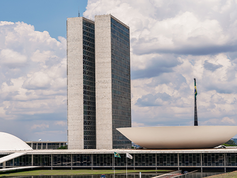 Representação e Defesa